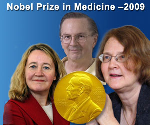 2009년 노벨의학상, 텔로미어와 텔로머라제 - 세포노화 기전