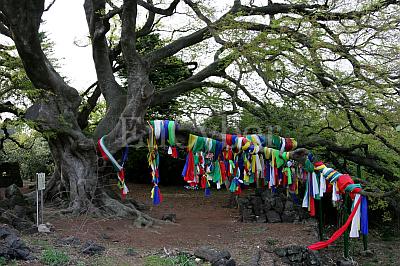 [2010전주아태무형문화유산축제] 제주도 칠머리당영등굿