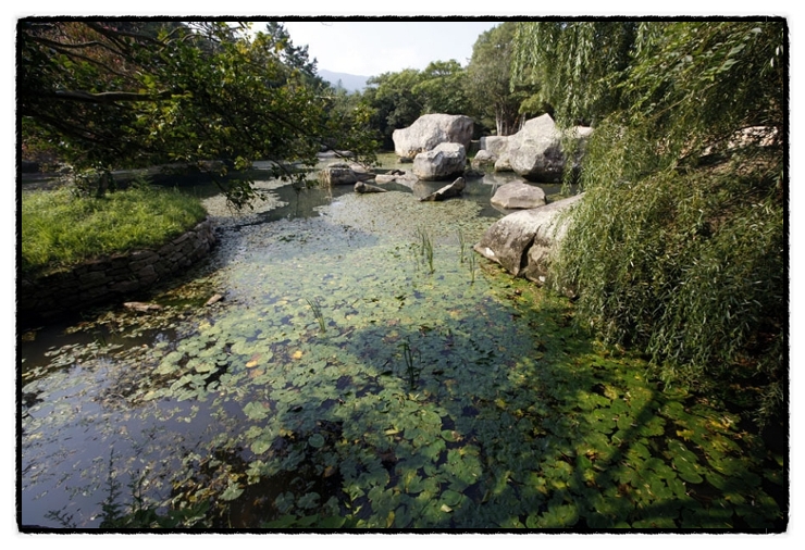 부용동정원(고산윤선도원림)