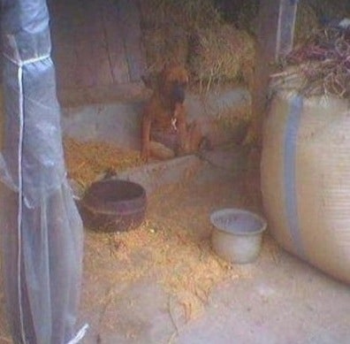 %B0%AD%BE%C6%C1%F6%BB%E7%C1%F8_%C0%DA%C6%F7%C0%DA%B0%B3.jpg?type=w800
