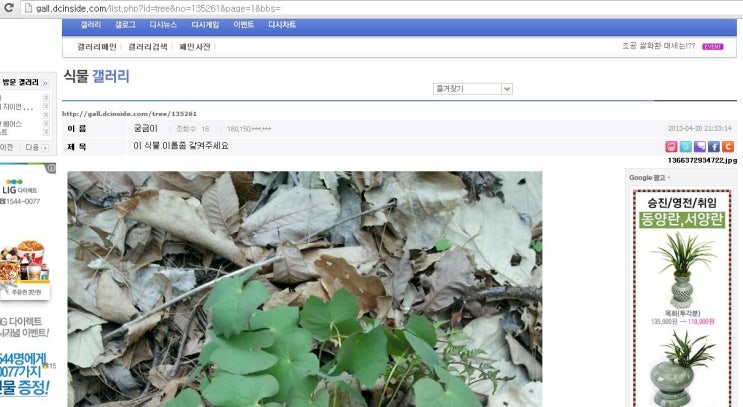 디시인사이드 Url에 대해서 네이버 블로그