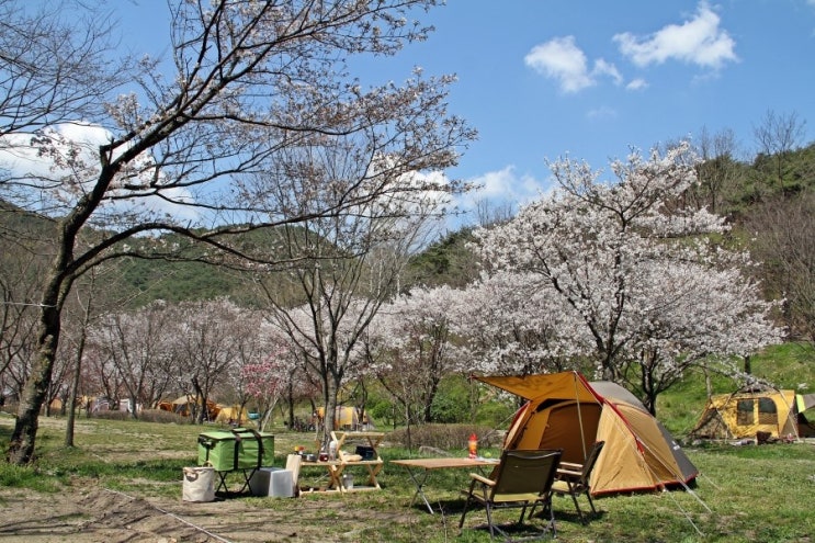 적벽강 캠핑장
