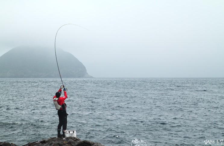 여름 대마도 낚시, 천국에서 2박 3일(프롤로그)