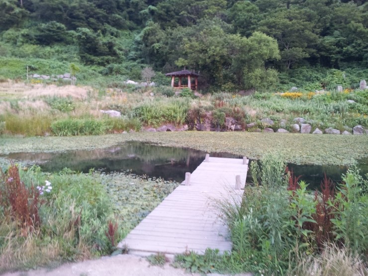 이장희 울릉천국