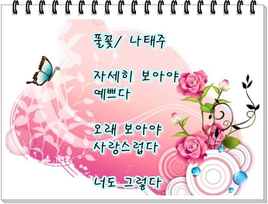 풀꽃 이미지
