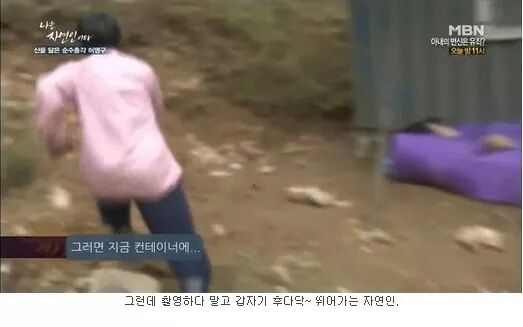 말벌사냥꾼 갓명구(나는 자연인이다 - 허명구씨) | 인스티즈