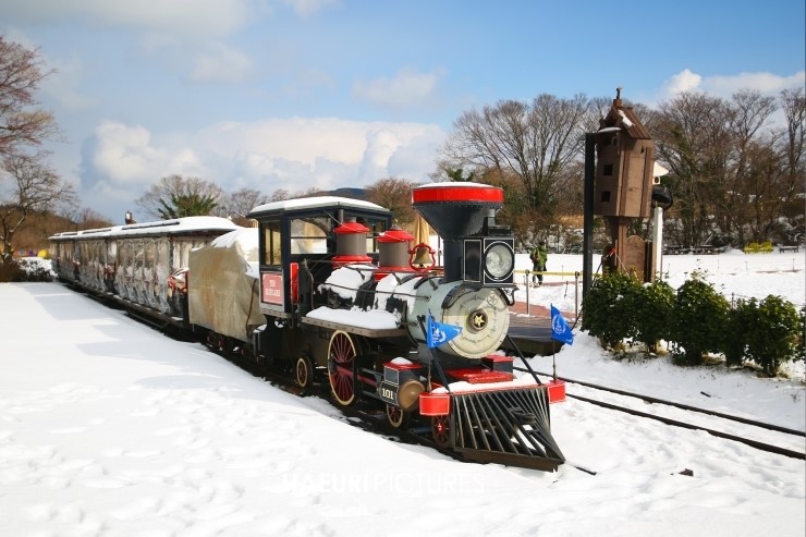 제주도 2박3일 여행코스 (인기관광지할인정보) 여행팁~~