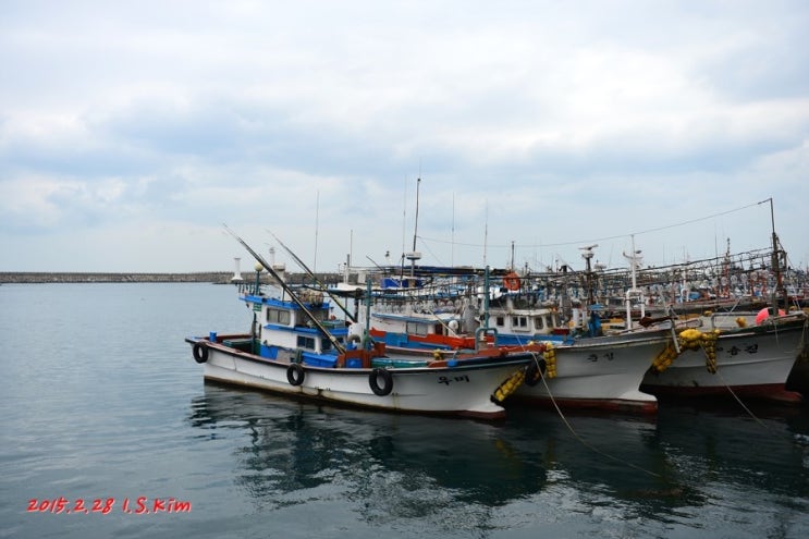 ♬ [제주올레길] 올레길 18코스, 동문로터리 산지천마당∼조천만세동산(1)