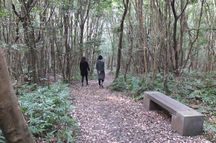 선흘 곶자왈 >동백동산< 산책 + 카페 >구좌상회작업실<