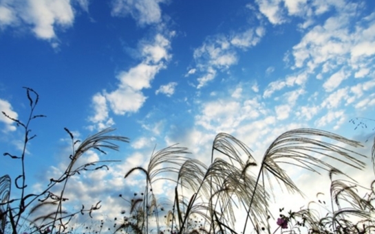 쓸쓸한 가을, 시 추천합니다.