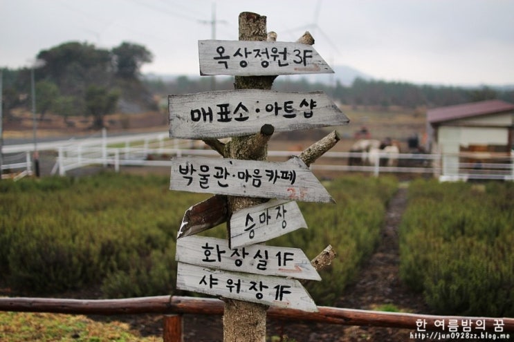 [공유] 제주도 가볼만한곳: 예술같은 가시리마을