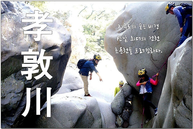 제주도 여행/ 제주도 숨은 비경 효돈천을 트래킹 하다.