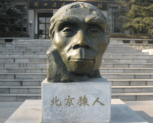 자바원인에 대한 이미지 검색결과
