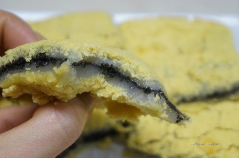 정전기 를 이용한 먼지 제거