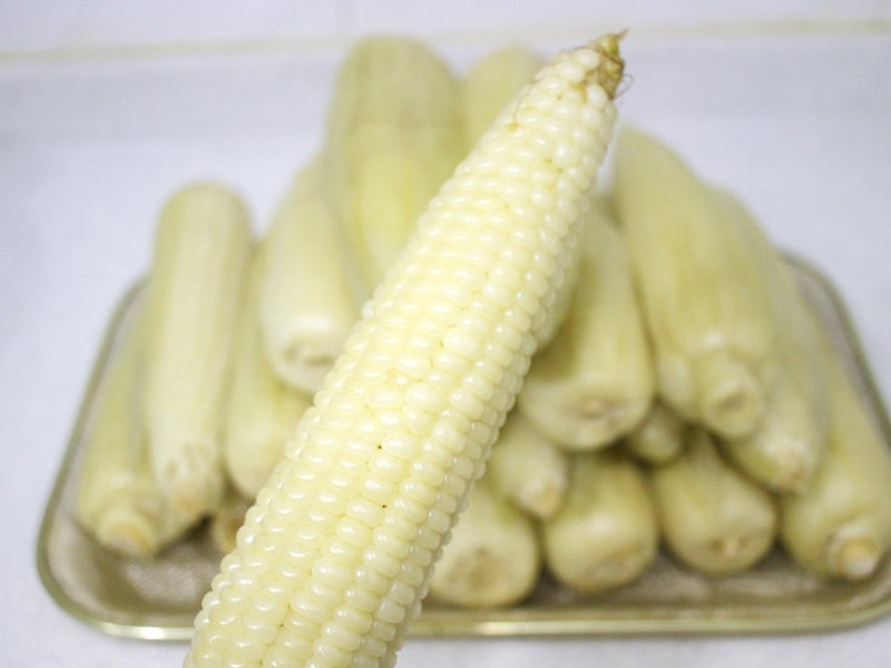 옥수수 맛있게 삶는법 보관법 삶는시간 뉴슈가 설탕 소금 네이버 블로그