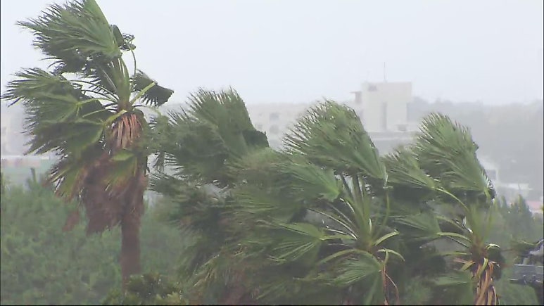 바람 많은 제주 날씨 - 태풍에 대비하는 법