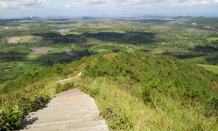 제주 영주산 & 해바라기농장-20160913