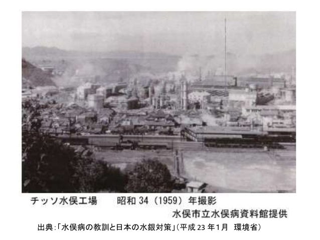 2016年10月22日 土 付 水俣病の現在 네이버 블로그