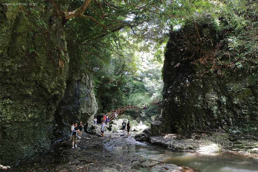 8월 제주도 가볼만한곳 시리즈02 - 용암계곡