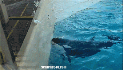 ë²ê³&nbsp;ë ìì¬ë¥ì ëí ì´ë¯¸ì§ ê²ìê²°ê³¼