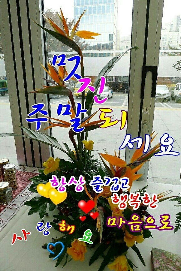 주말엔 이미지