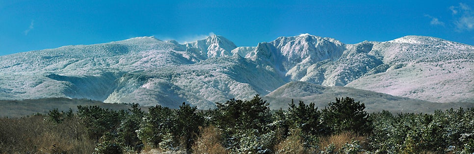 [제주도 세계자연유산] 3대 영산 중 하나, 제주몬과 한라산국립공원으로