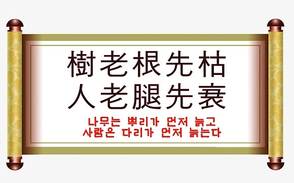 근육이 연금보다 강하다(Cognicise운동법)