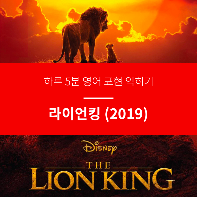 하루 5분 영어 표현 익히기 라이온킹 2019 네이버 블로그