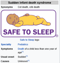Sudden Infant Death Syndrome 네이버 블로그
