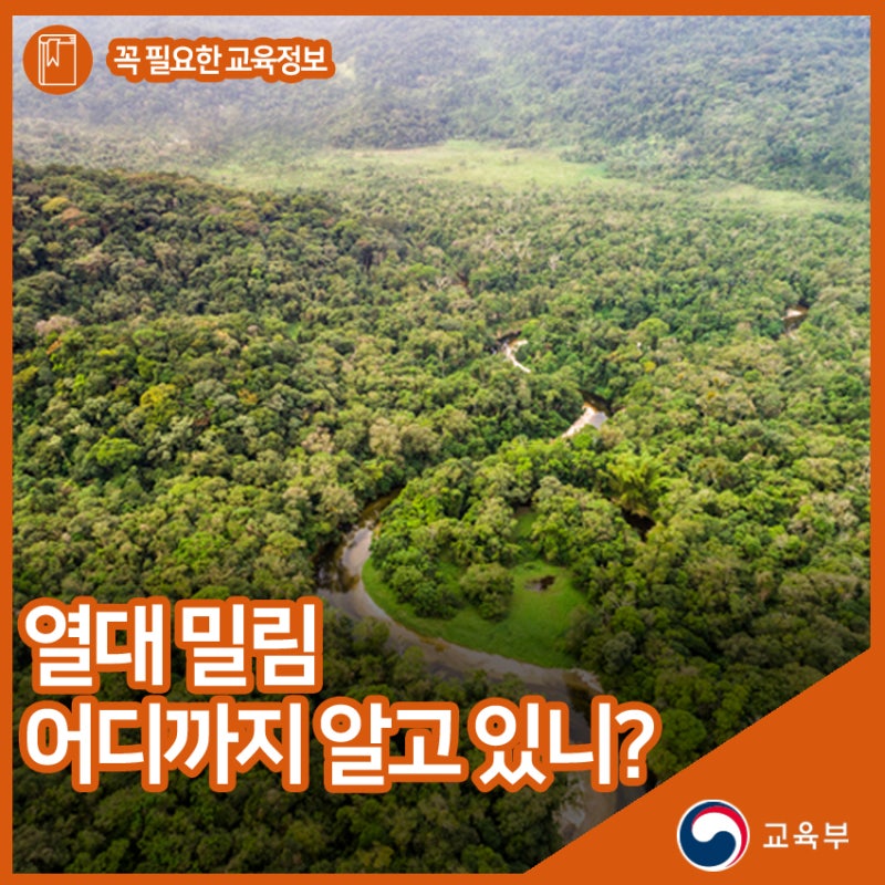 얼라 퀘스트네비 운고로 분화구 52 54 월드오브워크래프트 클래식